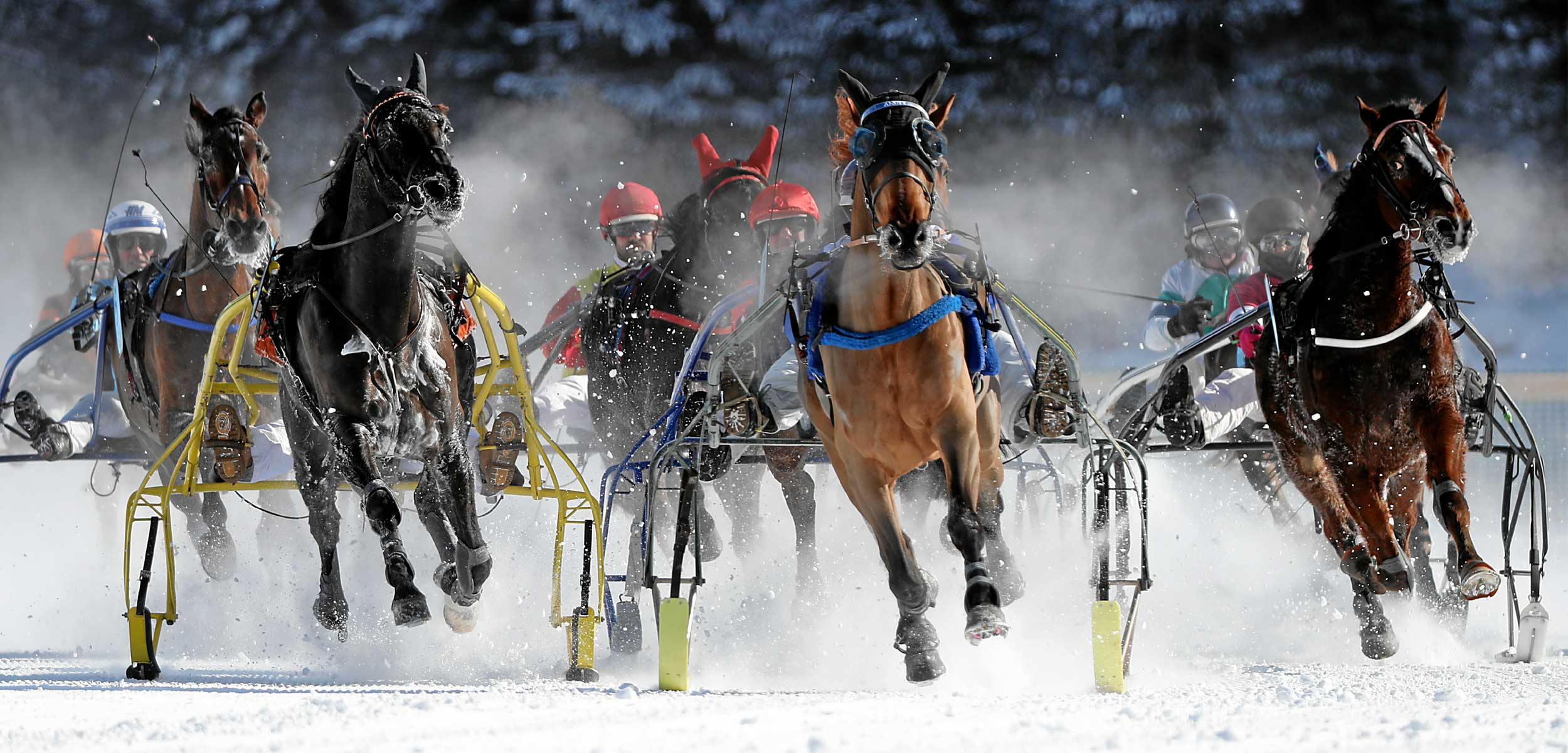 White Turf St. Moritz