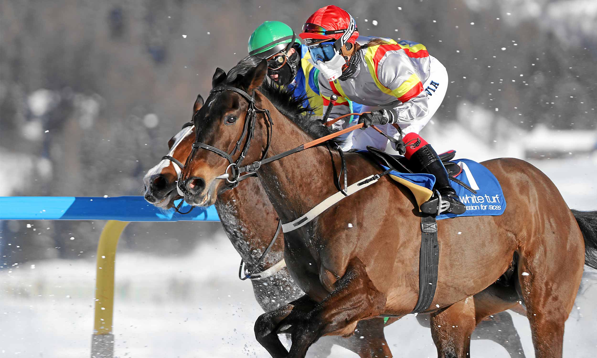 White Turf St. Moritz